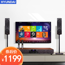 Newman 200 Home Theater KTV TV Audio Set Modern V-388 Wireless Microphone Echo Wall K Songs Speaker