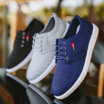 Shoes Spring Mens Casual Shoes Student Canvas Shoes Lace Up Trendy Shoes Korean Style Board Shoes Old Beijing Cloth Shoes Mens Summer