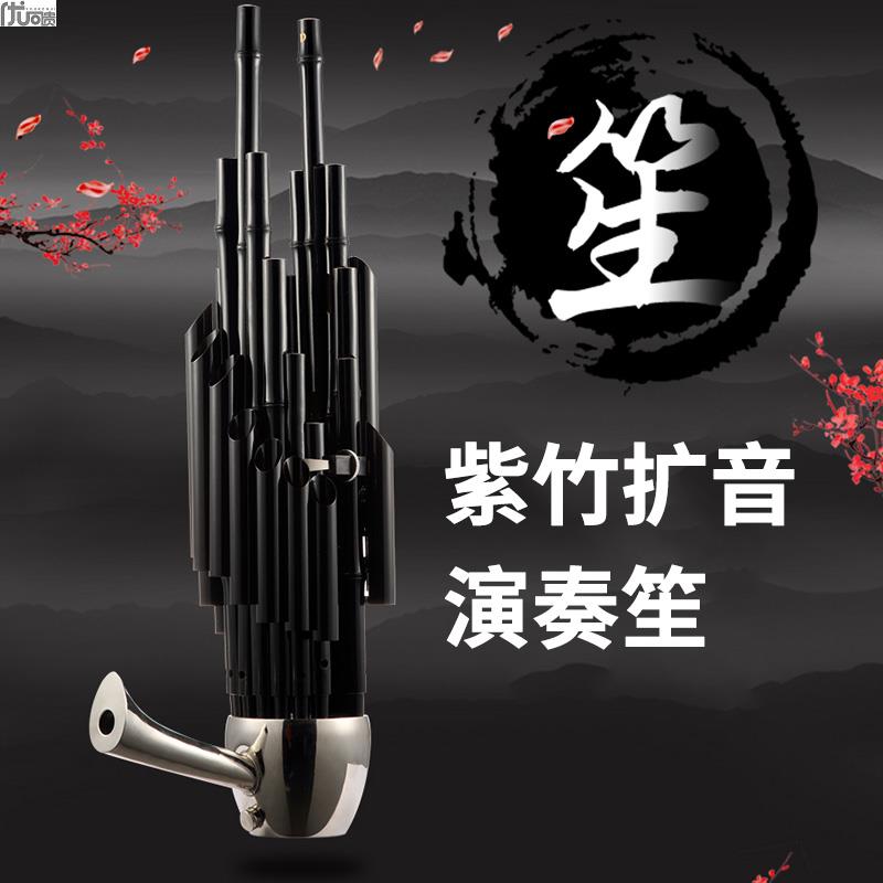 Sheng Musical Instrument 14 Reed Sheng Beginner Scholar Professional Adult Children Introductory Folk Musical Instruments Delivery Sheng Accessories 17 Springs Enlarged Soundtrack Sheng-Taobao