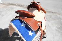 Factory direct sales Western saddle using imported cowhide pure hand-carved resin skeleton equestrian harness