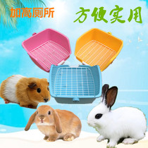 Rabbit toilet Chinchilla toilet Rabbit Guinea pig toilet Dutch pig Toilet Urinal Potty potty