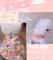 Spring Summer Autumn Pet Cat Dog Clothes Teddiyoke Summer Small Horse Breathable Fly Cuff Pure Cotton Shirt Skirt Dress Nepotism Red