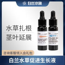 White Lander root stem leaf inducement Suitable for chili banyan to accelerate water grass rooting growth quickly into scenery