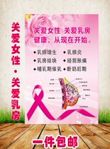 Caring for womens breast health poster poster picture breast structure chart display board picture