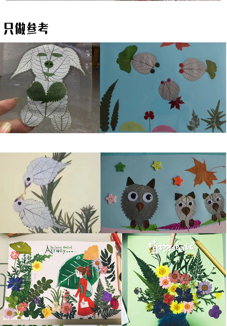 各种天然叶子集 教学标本 幼儿园diy干树叶 植物贴画拼画树叶相框