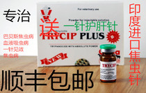 Indian bloodworm needle Babesjewworm needle Indian coke worm needle Bit tick Blood protozoan coke worm