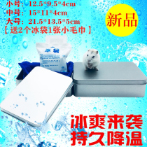 Hardware supplies Summer heat sink plate Anti - bite iron box ice sheet ice sheet cooling supplies