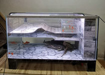 Turtle egg breeding cylinder row cylinder custom glass turtle cylinder with sun table 90 side filter cylinder valve drainage golden turtle villa