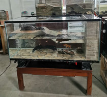 Turtle cylinder Big turtle cylinder egg cylinder Deep water turtle special cylinder 1 meter 18 long side filter bottom valve drainage golden turtle villa
