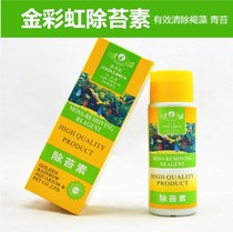 Gold Rainbow Gold quarrying in 125 ml fish tank aquarium with algae remover to toss fish medicine