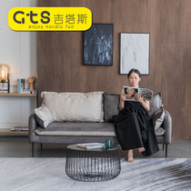 Nordic technology fabric small apartment sofa simple living room double triple simple modern apartment bedroom light luxury