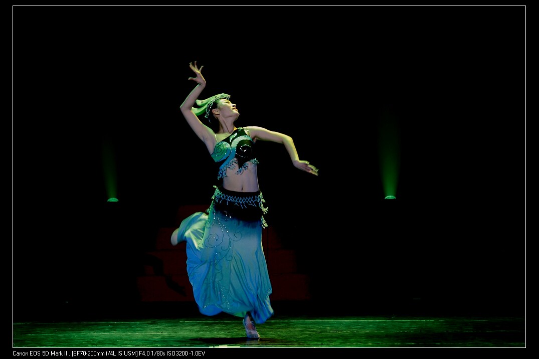 民族舞蹈 傣族舞 独舞 《孔雀飞来》古典舞 民族舞蹈 专业订制