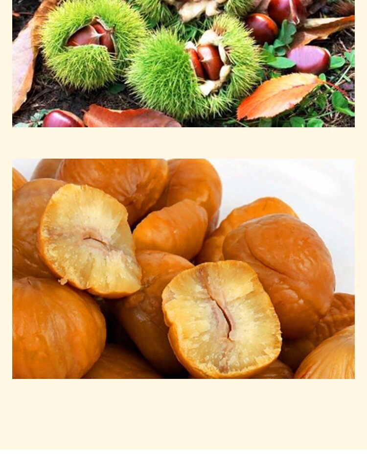 桂发祥十八街400克天津甘栗礼盒天津特产迁西板栗栗子仁保证