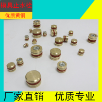 Hardware mold water stop plug copper plug cooling water plunger water plug plastic mold accessories precision standard parts