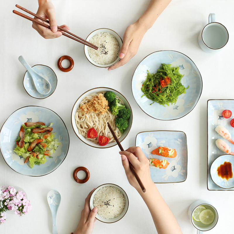 Sichuan island house as hankage Japanese hand - made ceramic two people eat soup dishes suit plate suit PZ - 152