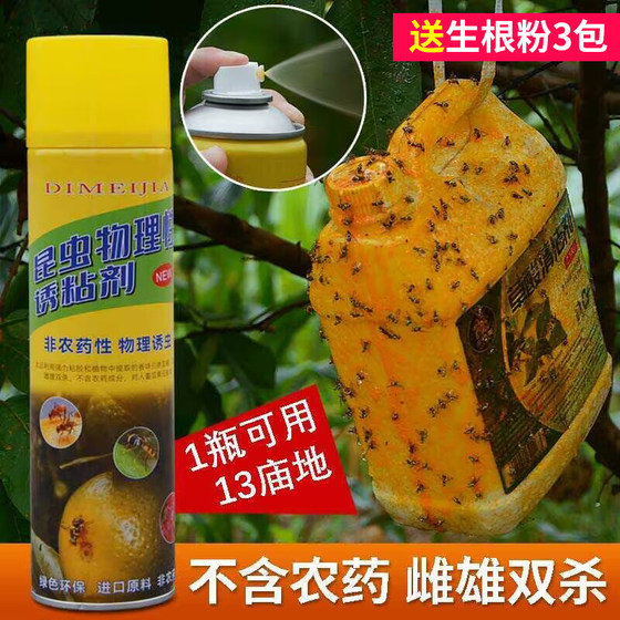 Guatan Fruit Flux Tastan Fruit Fruit Catcher Artifact Vegetable Garden Orchards Penta Penta Destroyer Bee Tasting
Guatan Fruit Flux Tastan Fruit Fruit Catcher Artifact Vegetable Garden Orchards Penta Penta Destroyer Bee Tasting