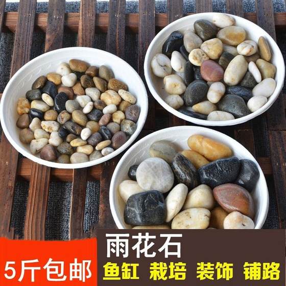Pebbles, Rain, Raw Stone, Small Pebbles, Fish Tank, Flower Pot, Goose Soft Stone Decoration, Gardening, Colorful Stone Paving
Pebbles, Rain, Raw Stone, Small Pebbles, Fish Tank, Flower Pot, Goose Soft Stone Decoration, Gardening, Colorful Stone Paving