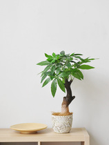 Chinese style emulation hair-rich tree home green planting table pendulum bonsai office greening decorative potted plants art394