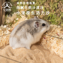 Hamster Bath Sand Golden Silk Bear Exclusive Desert Sand Bath Salt Bath Accessories Bathroom Bath sand Deodorant Clean