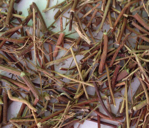 乡下神草,粤北鸡骨草