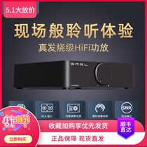SMSL double wood triple forest A100 power amplifier sound 2 1 high power Bluetooth fever hifi pure digital small power amplifier