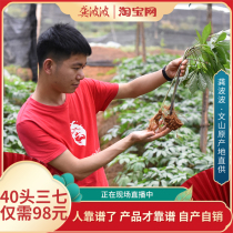 Gong Bobo Yunnan Wenshan Sanqi 20 heads 30 heads wild premium 500g Tianqi tablets can be ground ultrafine 37 powder