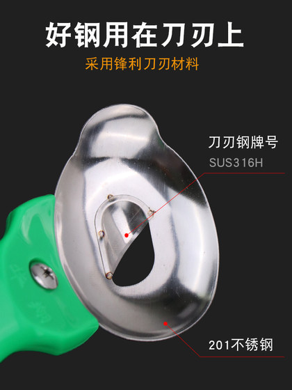국수를 자르는 새로운 Shanxi 나이프 특수 나이프 스테인레스 스틸 나이프 컷 국수 새 가정 국수 절단 도구 도구 도구 도구 국수를 자르는 새로운 Shanxi 나이프 특수 나이프 스테인레스 스틸 나이프 컷 국수 새 가정 국수 절단 도구 도구 도구 도구