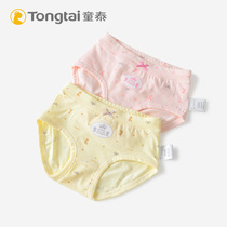 2pcs Children's Thai Girls Underwear 2-3-5 Years Old Baby Girls Unclamped PP Kids Little Girls Triangle Big Kids Shorts