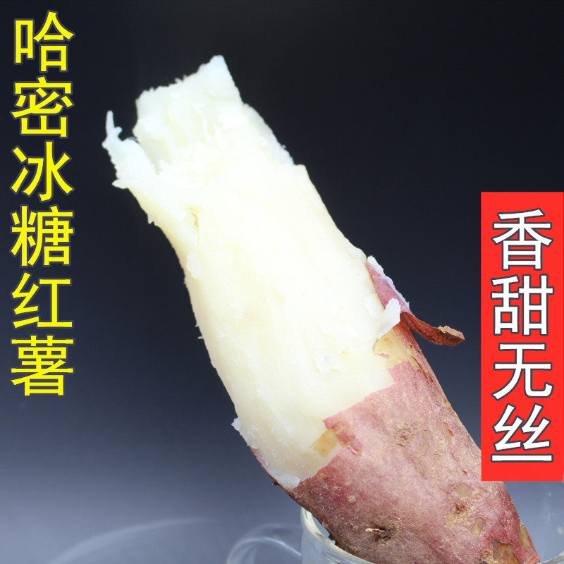 金奖哈密红薯白蜜薯冰糖心红薯蜜薯5斤新鲜地瓜白心白瓤番薯女王