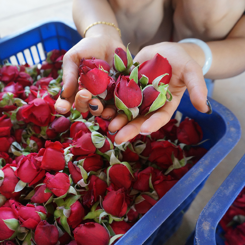 精选云南新鲜食用玫瑰鲜花可食用墨红玫瑰花苞花蕾花骨朵2斤精装