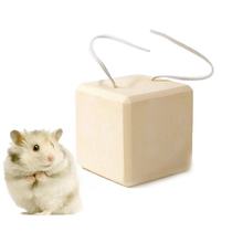 Rabbit Grindstone Grindstone Small Hamster Golden Silk Bear Dutch Pig Squirrel Dragon Cat Rabbit Grindstone Zero Food Toy Pet Supplies