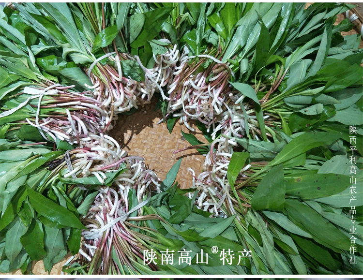 天蒜野菜天蒜纯正高山野生大蒜小蒜陕南农家特产腌制酸菜五袋包邮