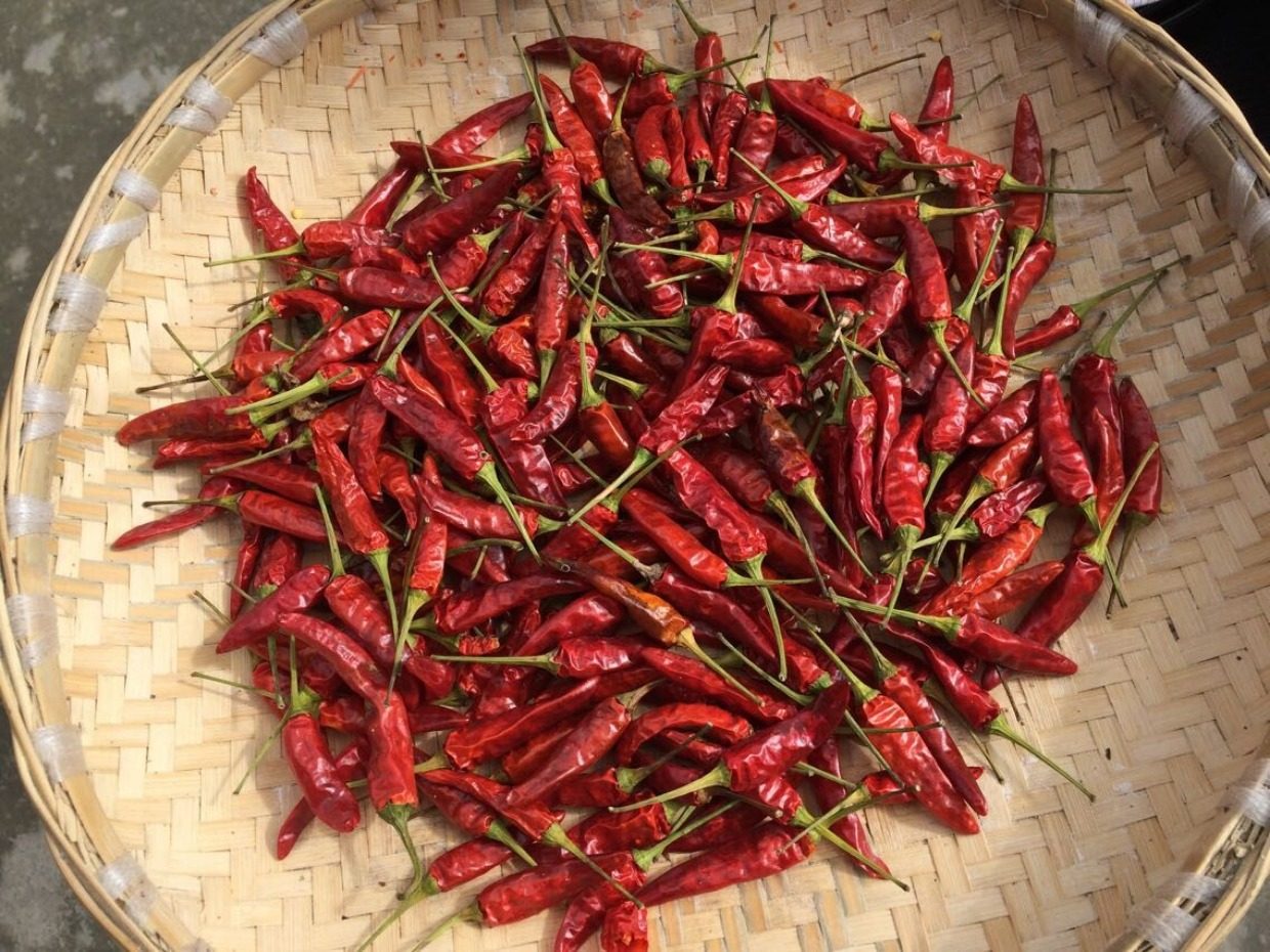 山里农家 包邮贵州特产 湾子辣椒 朝天辣辣椒 特辣500克特辣