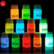 20g 30g High quality 9 Colors Acrylic Glow In The Dark Paint