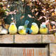 Creative garden balcony gardening decoration crafts gifts home furnishing simulation resin bird decoration ornaments Creative garden balcony gardening decoration crafts gifts home furnishing simulation resin bird decoration ornaments