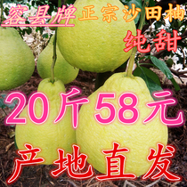 20 jin Zhengjunong County Sha Tin Grapefruit Pomace Pure Sweet Pregnant Woman Fresh Pomace Fruits White Hearts Non Red Heart Red Meat
