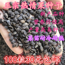 Passion Fruit Seeds and Miao Colombia Imports pure sweet and non-sour gold thyme climbing vines full of fruit