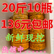 Guangxi Fresh Freshly Dug Thyme Pulp Pepsio Jam Raw Berries Berries Juice Milk Tea Shop dedicated 20 kilos