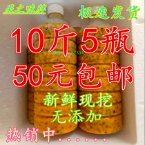 Fresh Thyme Jam Thyme Meat Pepsi Jam Frozen Bagel Fruit Juice Raw Berries Silian 10 kilos