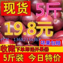 Guangxi passion fruit tropical fruit fresh passionflower egg fruit is now picked 5 pounds of hardcover red fruit sour and sweet