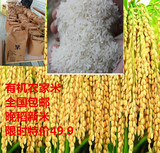 有机生态农家大米现磨不抛光绿色米农家香米