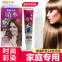 Wubeizi hair dye plant natural non-irritating hair cream 2021 popular color wine red pure from black white hair