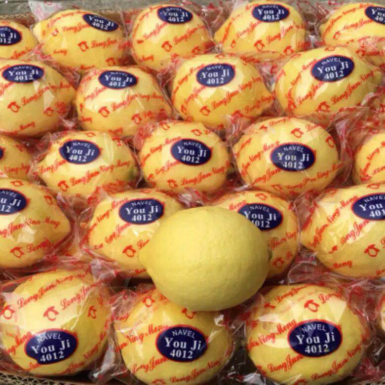 fresh anyue yellow lemon selection 30 pas of seasonal fruits shipping first class thin skin non-green lemon