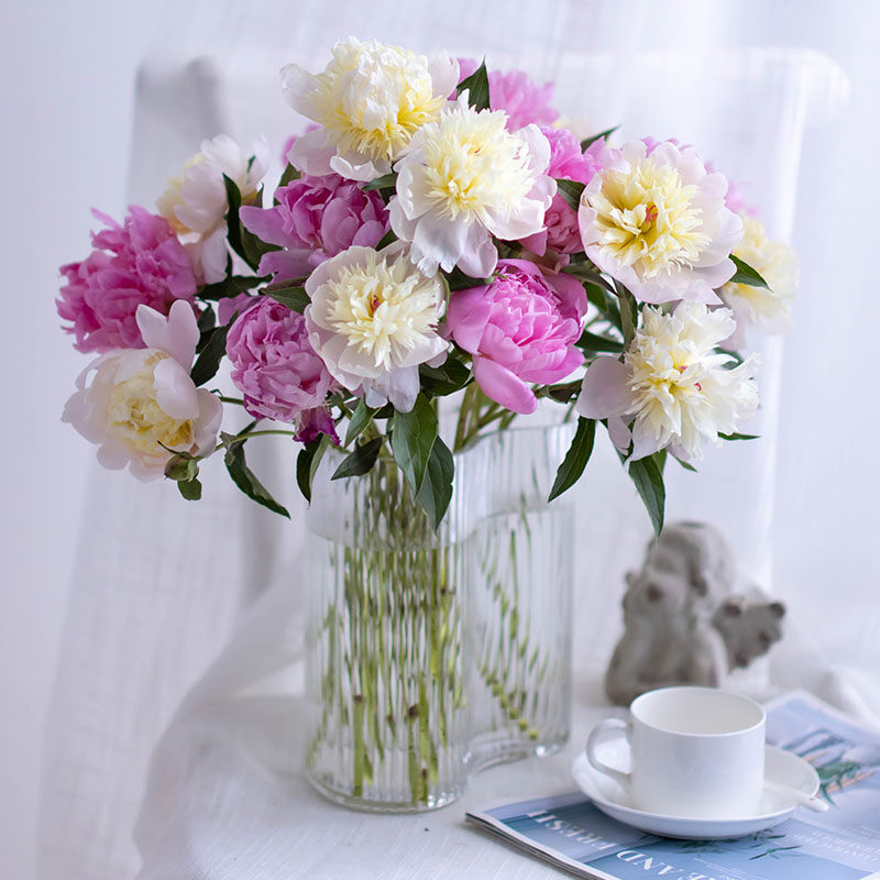 重瓣芍药花鲜花花束云南直发昆明直批基地斗南花市水养鲜切天鹅绒