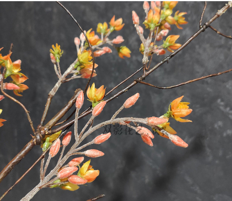 带刺花藤 枯枝 带刺荆棘枝 带刺野山藤 插花配饰花卉带刺原野花藤
