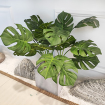 Simulation of the turtle back leaves Guanyin leaves octagonal golden plate spring rain leaves Nordic style decorative green leaves