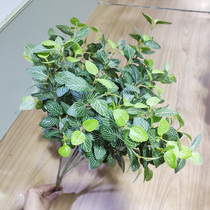 Simulation of Yugali leaf money leaf reticulated leaf silk cloth mini white net leaf flower arrangement made of scenery leaf material