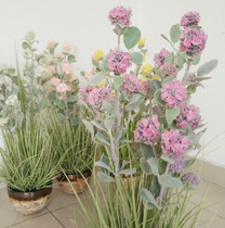 Simulation green plant potted bonsai flocked hydrangea ceramic pot set environmentally friendly high quality accessories landscaping plants