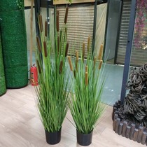 Simulation of water candles bushy Reed sticks decorative aquatic plants landscaping green plants