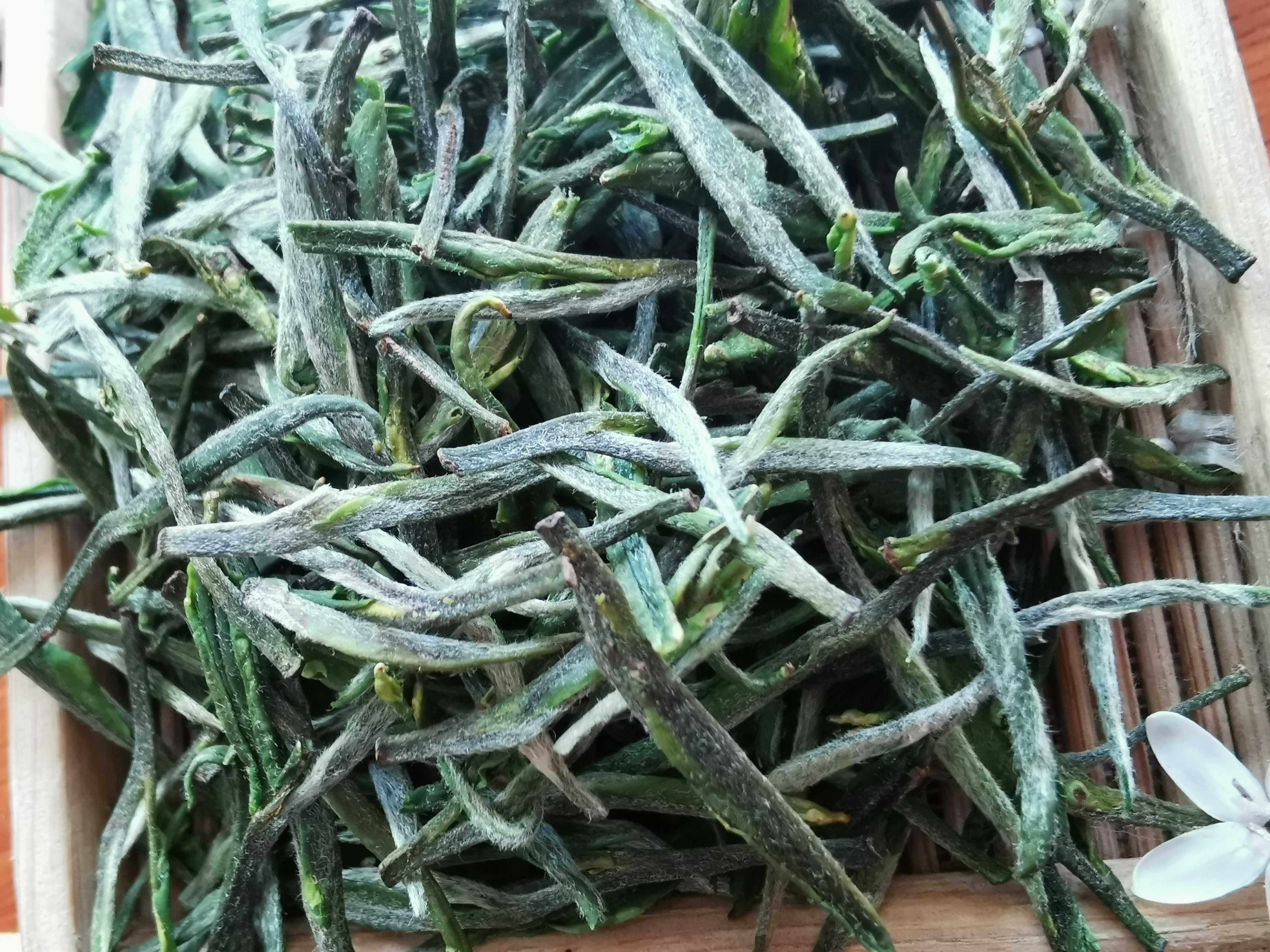 2021新茶雨前特级嫩芽毛尖雪芽浓香型信阳毛尖商城雪芽炒茶绿茶